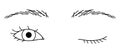 woman winking eye, mono lid, Almond eyes ,outline illustration Royalty Free Stock Photo